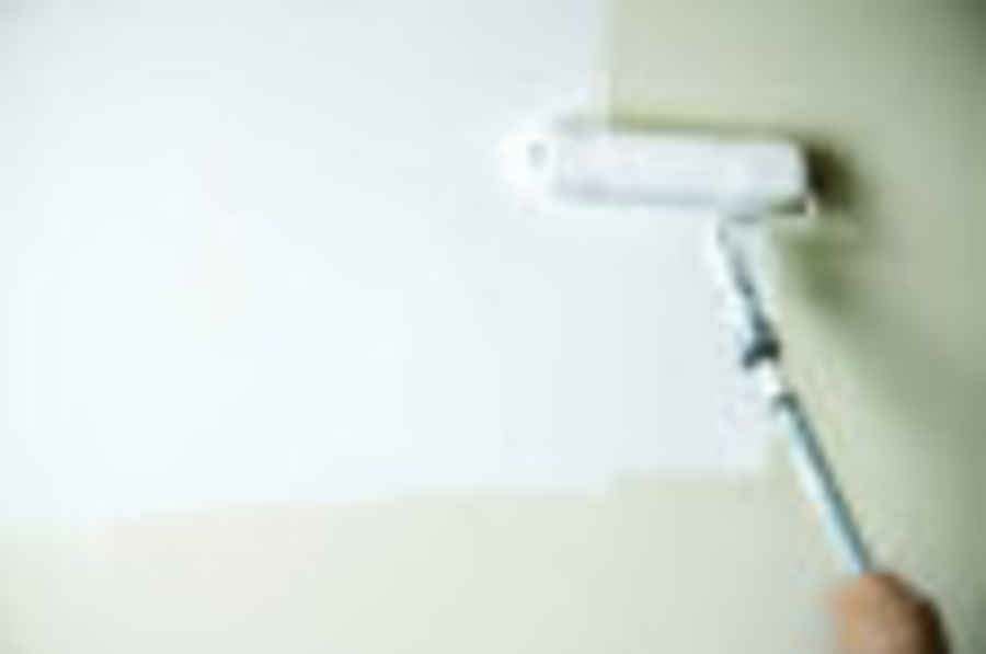 The Complete Guide To Anti Mould Paint