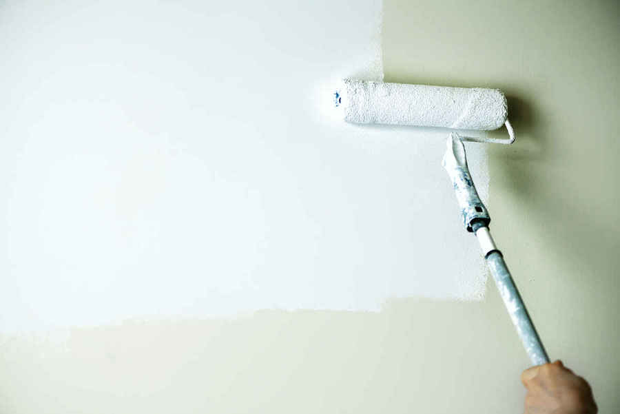 The Complete Guide To Anti Mould Paint